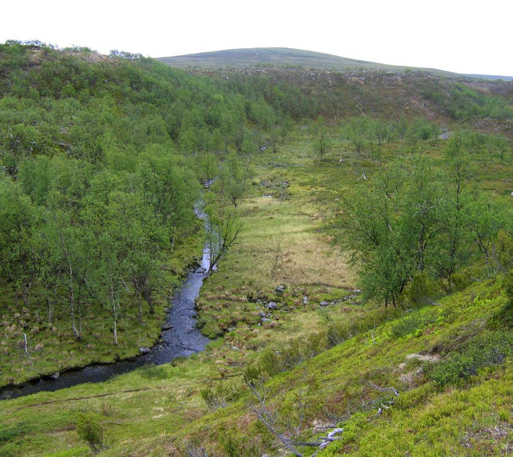 Sisävedet ja rannat Gálddasjohka, Utsjoki.