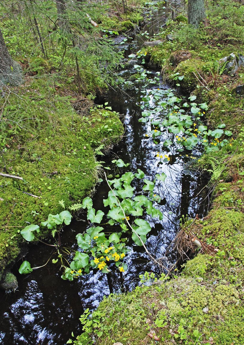 Sisävedet