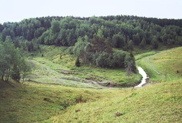 kasvu johtaa kemiallisiin muutoksiin, kuten ravinnepitoisuuksien, kiintoaineksen, sameuden ja humuspitoisuuden lisääntymiseen.