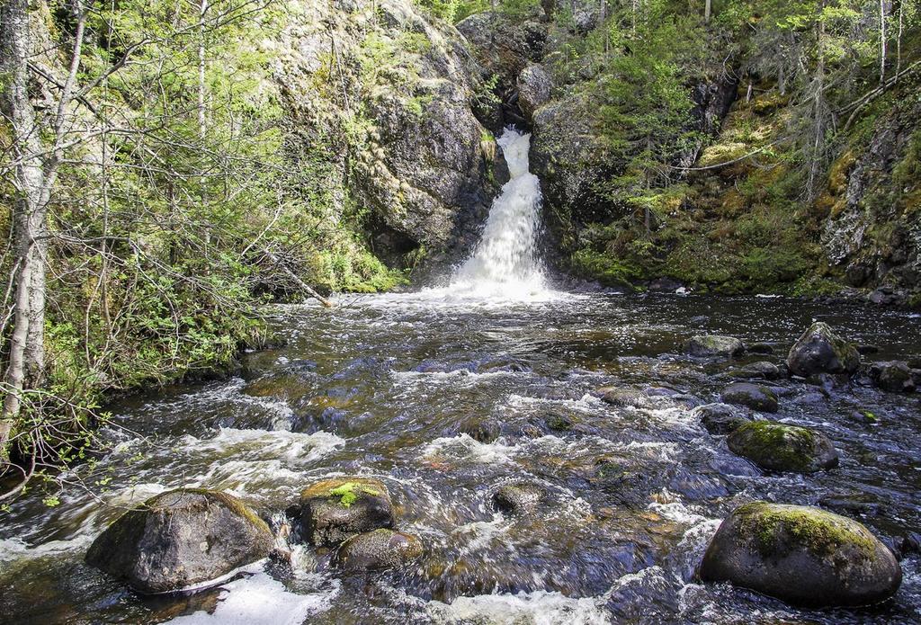 Sisävedet ja rannat Putaanköngäs, Kuusamo. Kuva: Jari Ilmonen muassa Oulankajoen könkäät Kiutaköngäs ja Jyrävä, Maaningan Korkeakoski ja Puolangan Hepoköngäs.