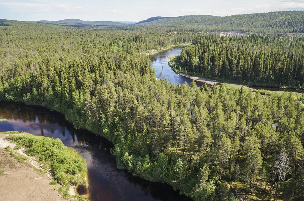 Sisävedet ja rannat Oulankajoki, Kuusamo. Kuva: Jari Ilmonen valuma-alueen maankäytön ja ilmastollisten olosuhteiden mukaan.