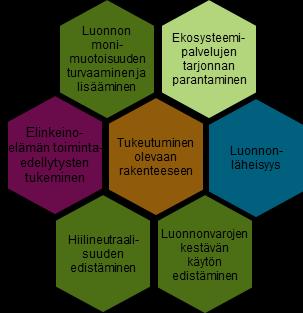 Ympäristön voimavarat ja vetovoima Kaavaratkaisun muodostamisen lähtökohdat Tavoitteet ja suunnitteluperiaatteet Keskeiset tavoitteet Suunnitteluperiaatteet Vaalitaan viherrakenteen ja