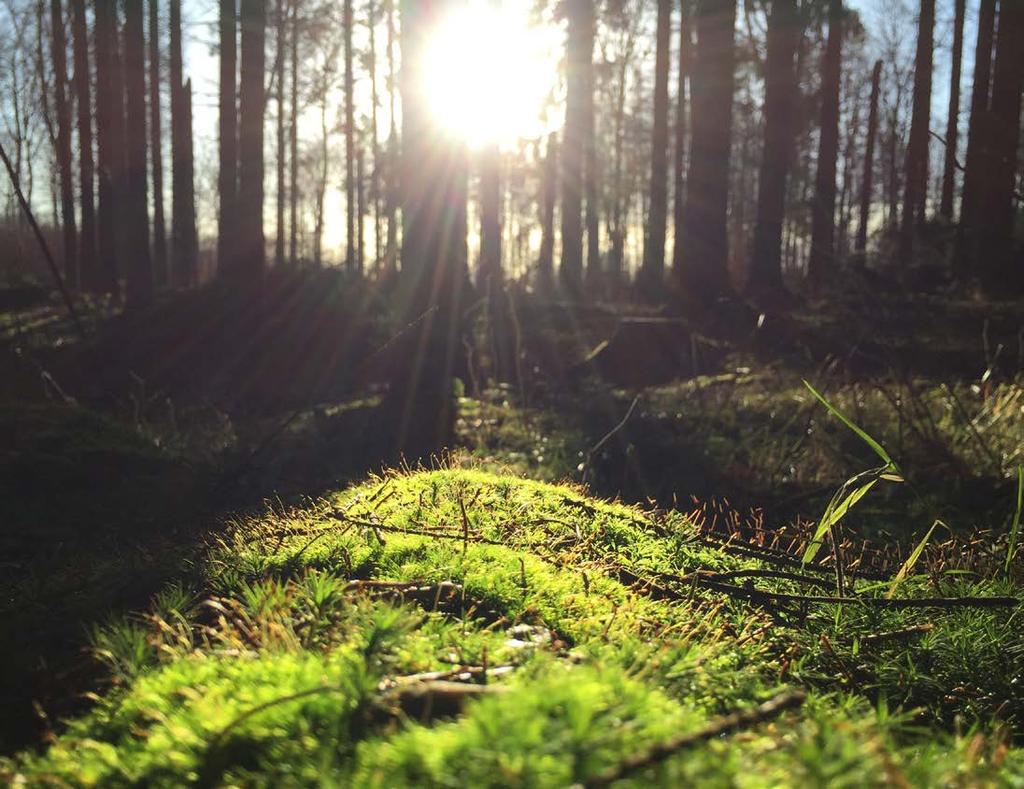 Tulevaisuudessa aurinko on