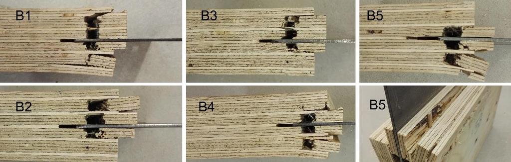 65 (96) B -koesarja B -sarjassa (kuva 49) LVL -koekappaleiden puunsyyt ovat vedon suuntaan kohtisuorassa valtaosassa viilukerroksista ja LVL :n ja teräslevyn välinen liitos on toteutettu 15 ruuvilla,