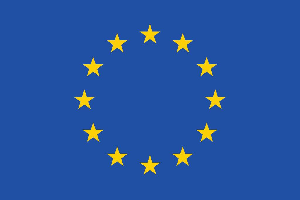 Euroopan unionin C 338 virallinen lehti Suomenkielinen laitos Tiedonantoja ja ilmoituksia 8. lokakuuta 2019 62.