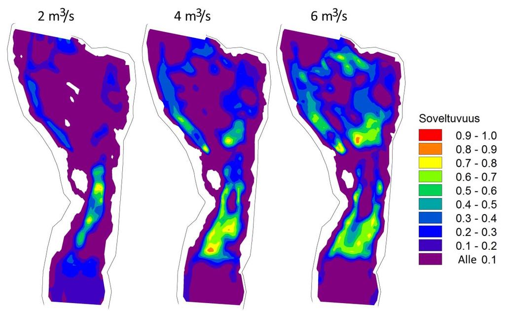 7 (24) Myös kudulle sopivien alueiden määrä kasvaa virtaaman noustessa. Kutua rajoittaa soraikkojen puute.