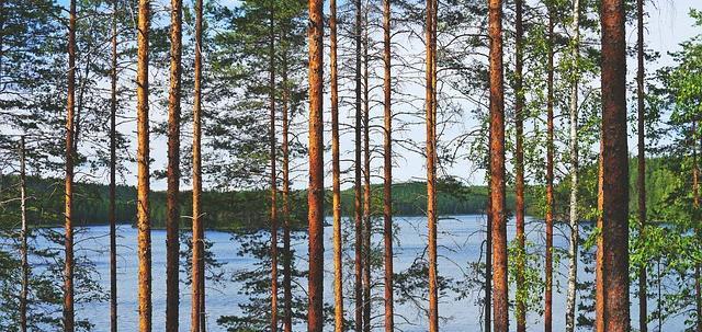 TEHTÄVÄT Mieti, miten suomalainen kulttuuri eroaa omasta kulttuuristasi.