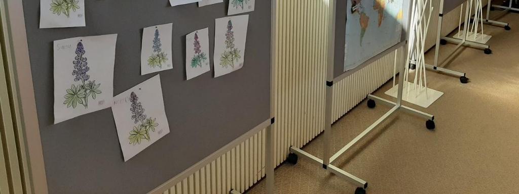 Kesälle 2020 on jo sovittuna kirjastonjohtajan kanssa vieraslajinäyttelystä Ylistaron monipalvelukirjastoon aikavälille 1.6.2020-15.6.2020. MARKKINAT Tiedon levittäminen nettisivuilla ja sosiaalisessa mediassa on helppo tapa levittää tietoa laajalle.