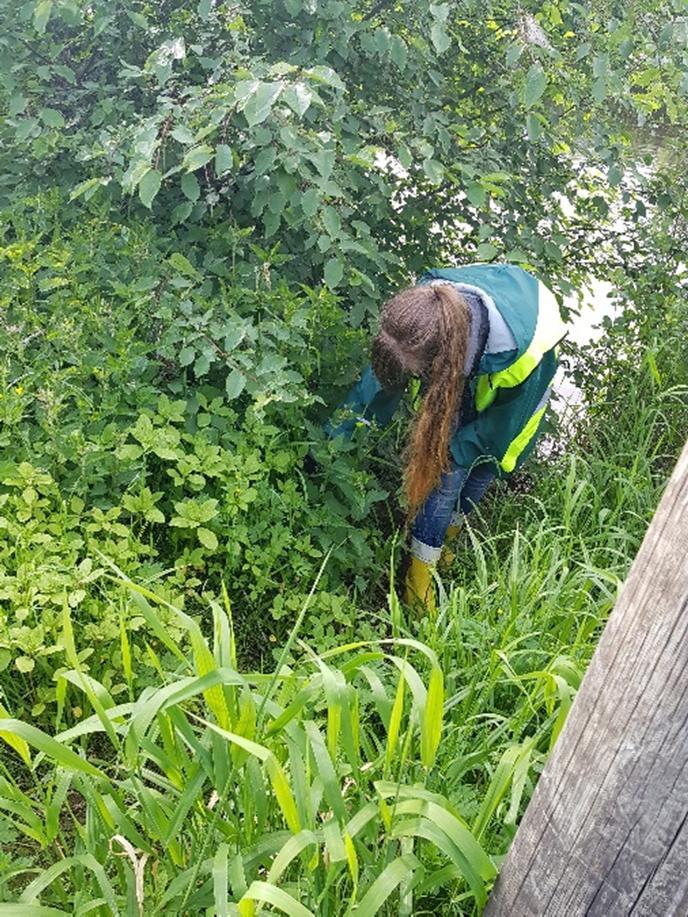 Kokonaisuudessaan alkanut kesä on ollut todella opettavainen, ja kohtaamiset näissä tapahtumissa ovat olleet iso työhön mielekkyyttä tuova osa!
