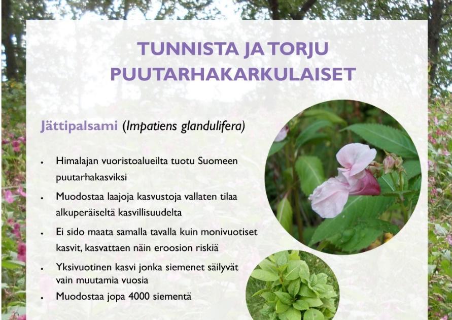 Jos teillä ilmenee jotain kysyttävää, annamme lisätietoja mielellämme!