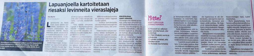 Viiskunta