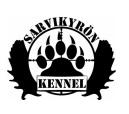 Kipinä kasvatustoimintaan lähti Ryssäkosken Ronjasta, jonka jälkeläisiä on tällä hetkellä jo neljännessä polvessa.