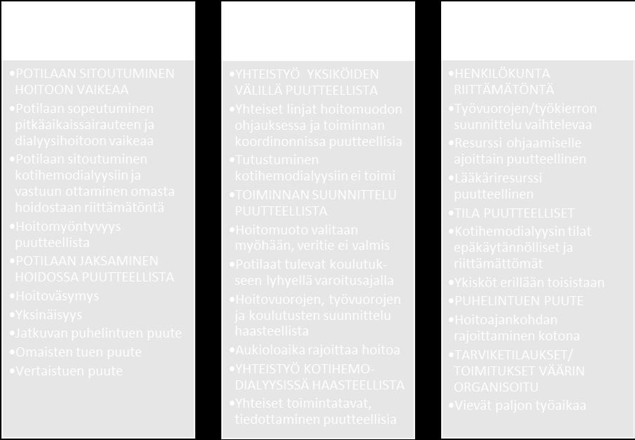 Kuviossa 9 on kotihemodialyysipotilaan hoidon