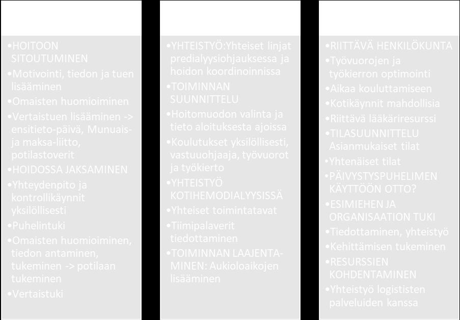 kotihemodialyysipotilaan hoitoprosessi.