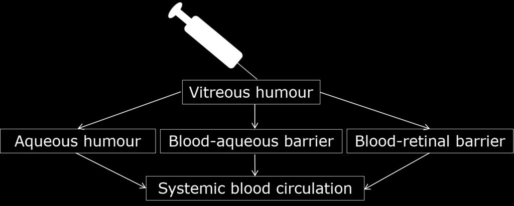 11 Figure 5. Intravitreal injection and the elimination pathways from the vitreous. The blood-retinal barrier includes the retinal capillaries and the RPE.