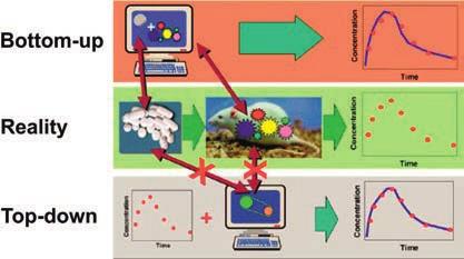 12 are needed for cell specific targeting, shuttling into the cells, and escaping from the endosomes into the cytosol or nucleus (Guzman-Aranguez et al., 2013; Wittrup and Lieberman, 2015).