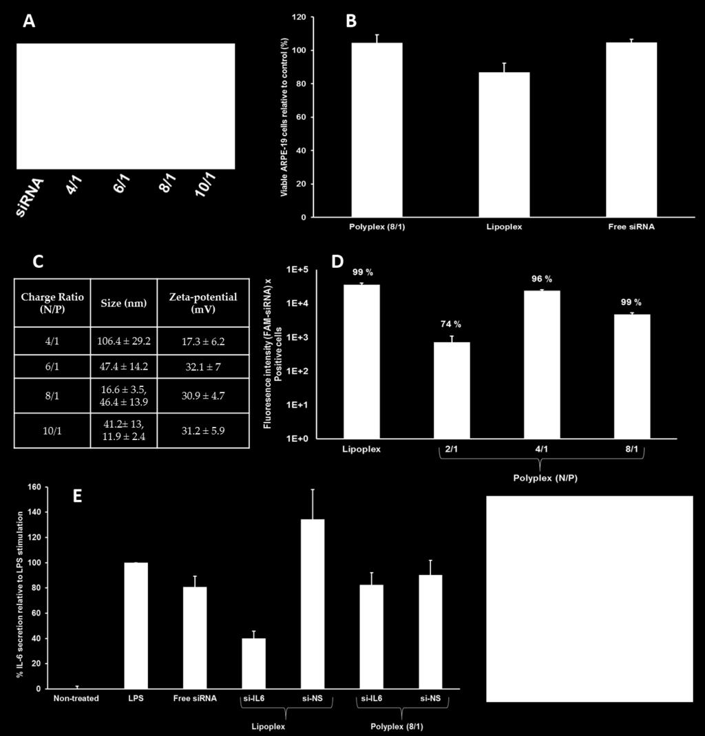 B: Cytotoxicity: viable ARPE-19 cells relative to control after 5 h incubation (n: 3 wells treated at three different days/sample).
