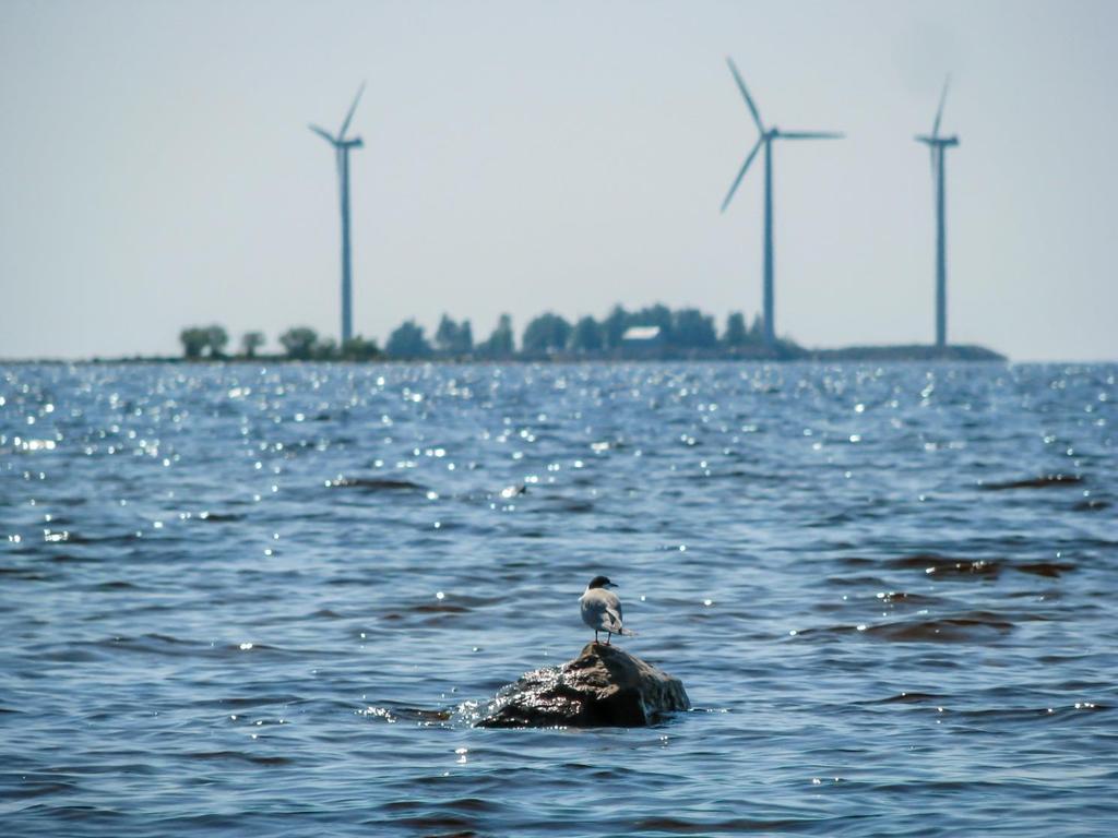 Edellä mainituista asiakirjoista sekä muusta olemassa olevasta kirjallisesta aineistosta ja lähdemateriaalista kootaan taustatiedot mm.