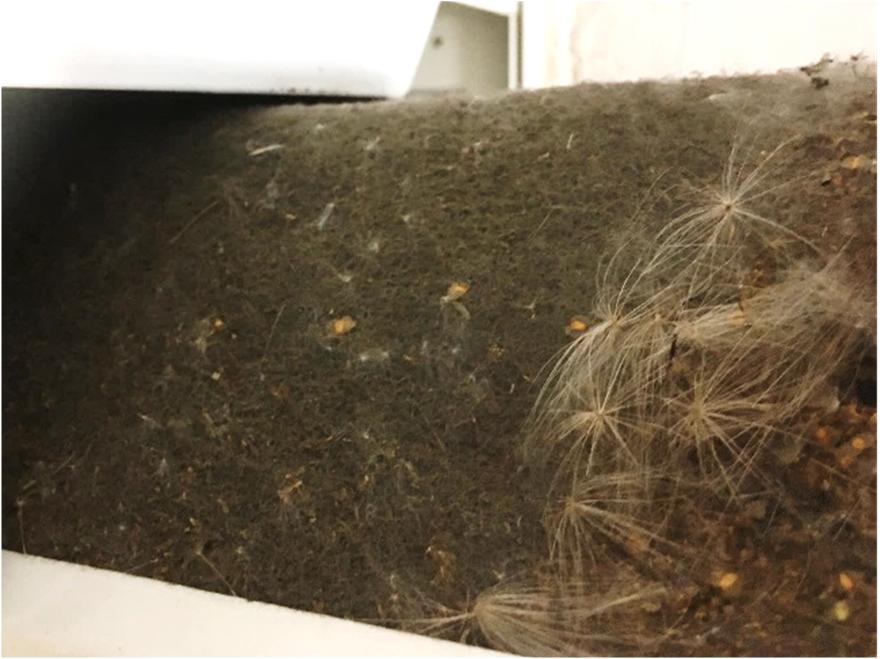 konetta ei ilmeisesti ole imuroitu huoltotyön yhteydessä, koska suodatinkammioiden pohjalla oli näkyvää irtolikaa. Myös LTO kuutio todettiin pölyiseksi.