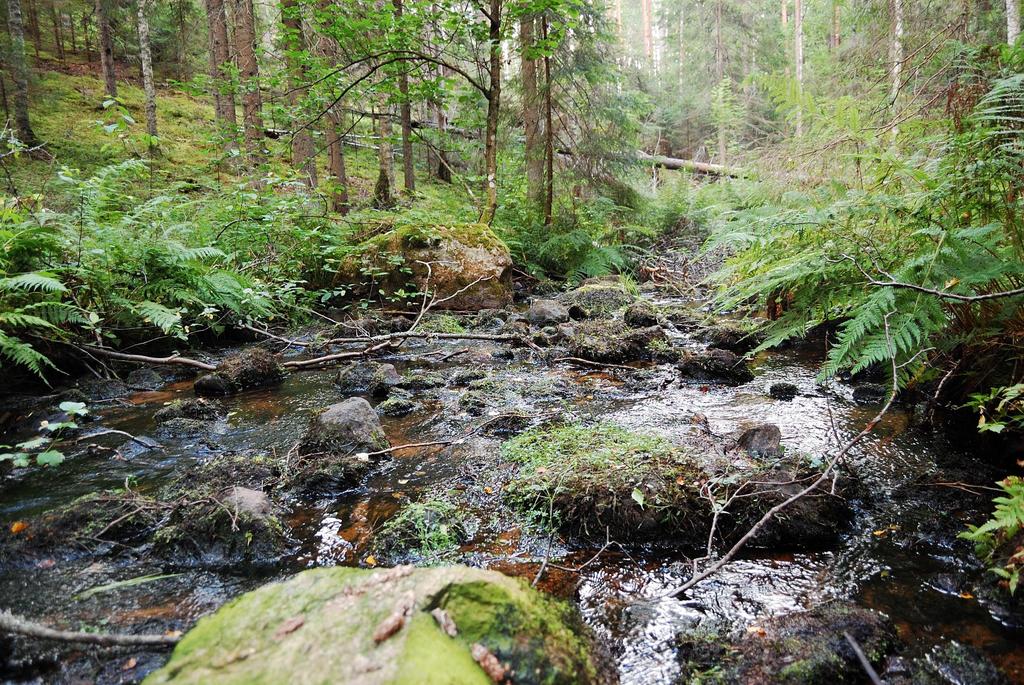 Kiitos luonnonsuojelutehtävissä toimiville luonnon monimuotoisuuden hyväksi tekemästänne työstä ja