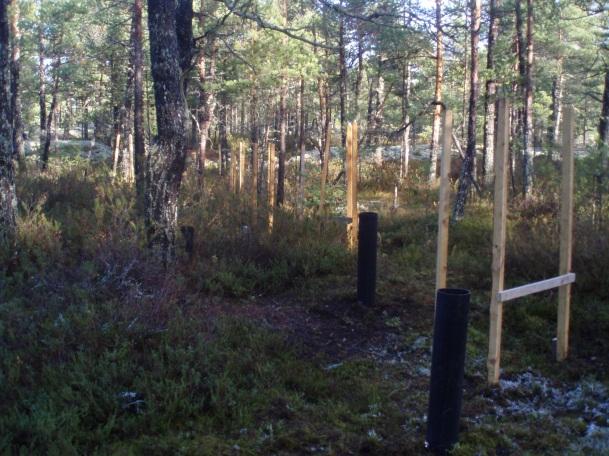 Plot FET930231 (total area 300 m 2 ), which is used for tree growth measurements and vegetation studies (see Figure 2), is located beside the OA2