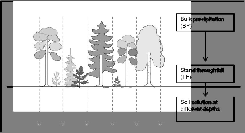 16 Figure 6. A schematic presentation showing the path of water down through forest ecosystems, and the different components taken for chemical analysis (Drawing: A. Hamari/Luke).