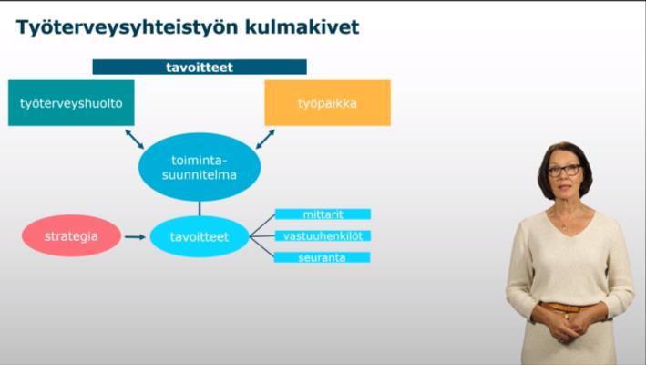 organisaation toimintaa.