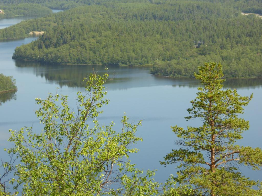 Virta Kulttuuri on kuin virta, eikä samaan virtaan voi kahdesti astua; kulttuuri säilyy pitkäkestoisena jatkuvan muutoksen avulla (Ulf Hannerz 1992) Luontosuhde on perinteiden/merkitysten/merkkien