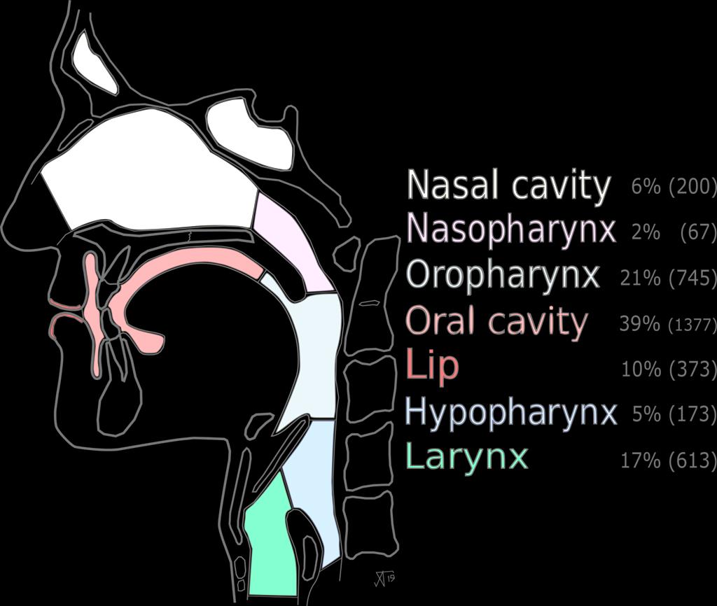 HPV pään ja kaulan syövissä NC 27% Syrjänen 2013 NPC 31 % Isayeva 2012 OPSCC 73%