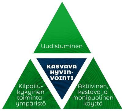 KMS 2025 valmistelussa painopiste hankesalkun uudistamisessa.