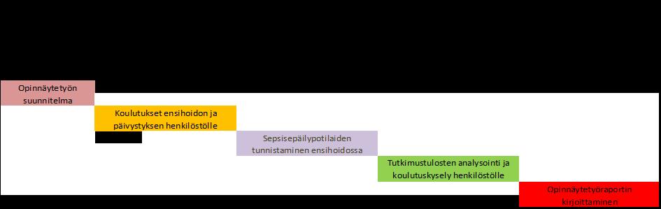 Kehittämistehtävässä ensimmäisenä tehtiin opinnäytetyön suunnitelma (kuva 4). Tässä suunnitteluvaiheessa ideoitiin mitä tullaan tekemään, millä tavalla ja miksi juuri näin.