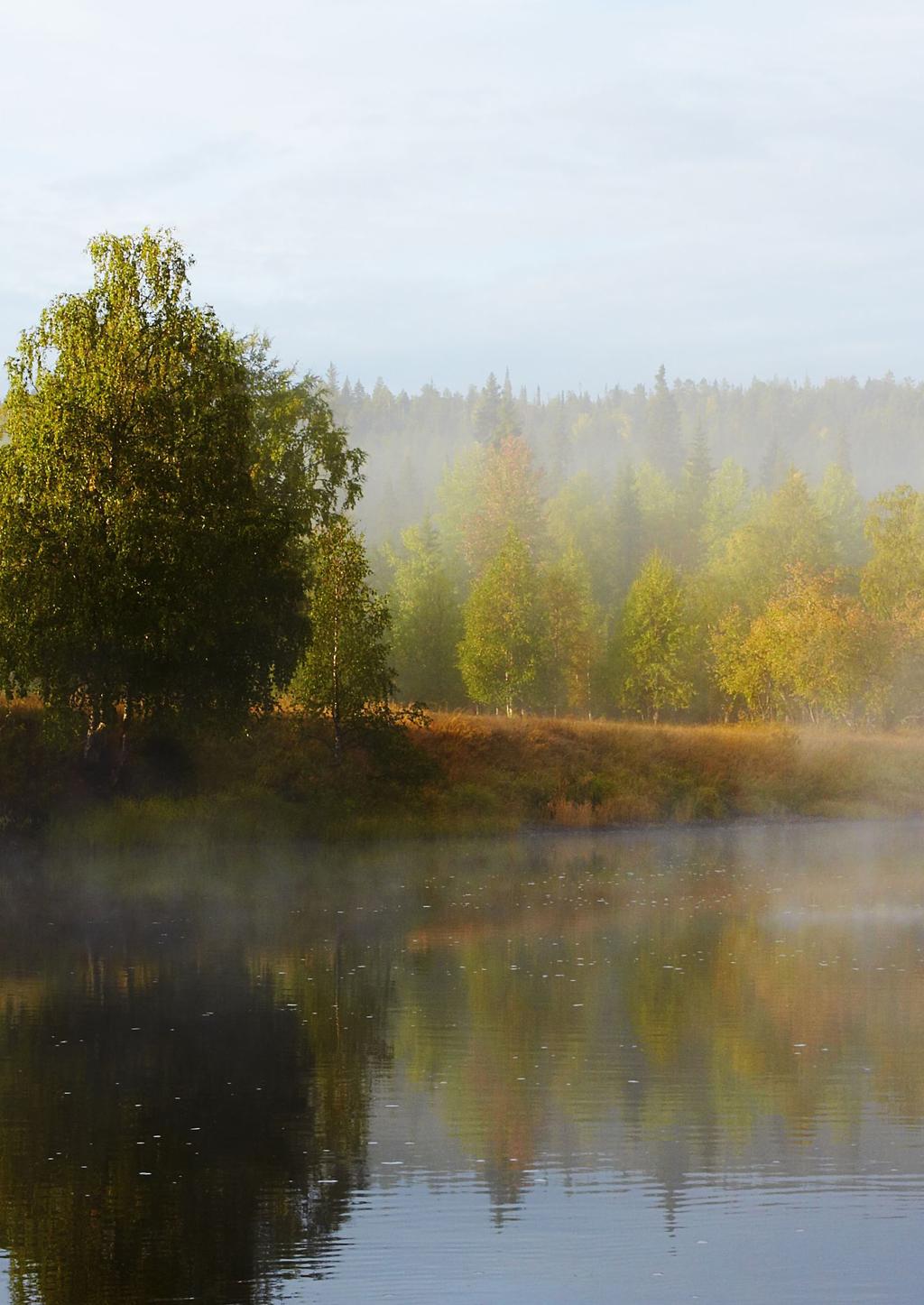 Nyt syksyn