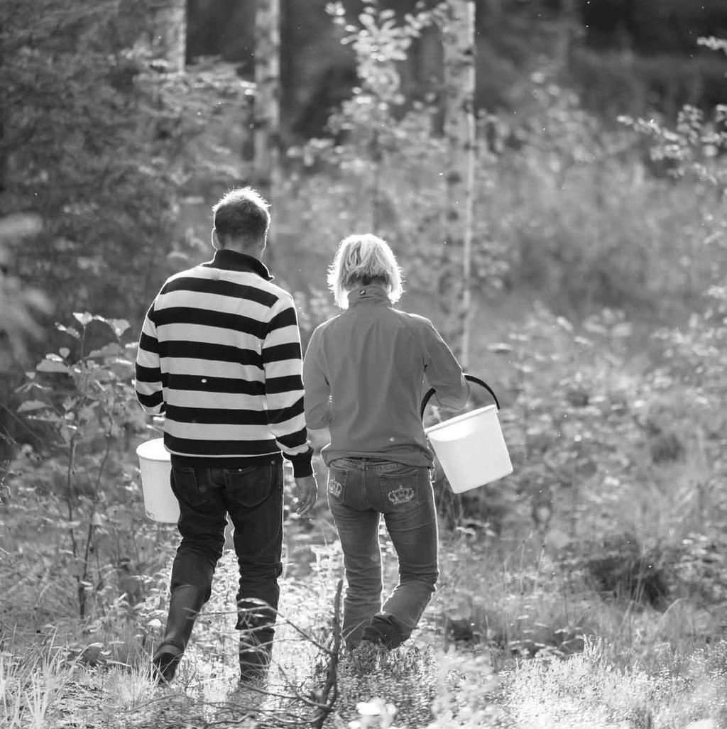 Irrottakaa kansilehti katkoviivan kohdalta itsellne, jotta hkilötietonne pysyvät kyselysta erillään.