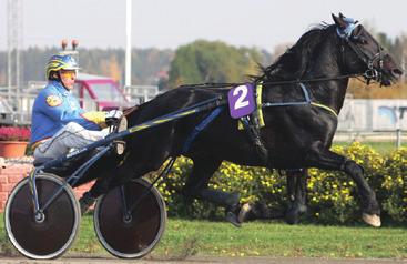 Jan-Olov Persson 20,7a 2013