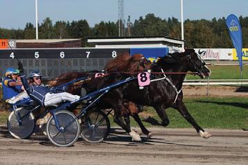 Hallsta Lotus Ulf Ohlsson