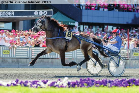 Pohjoismaiden mestaruuden tavoittelijat 2019 TÄHEN TOIVOMUS - Henri Bollström 8v ori Kasvattaja: Taisto Rautiainen Omistaja: Ravio Pauli & Teri-Talli Oy Valmentaja: Pauli Ravio 2019