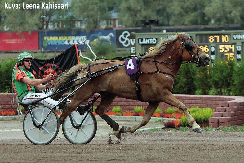 114 6-2 - 3 53 350 21,9aly 0-6 - 5 21 550 24,5ake 5-4 - 5 32 925 24,1ake 4-1-4 8 125 26,9ake 1-3-1 2 525 26,5ake 18-18 - 18 121 705 21,9aly 23,0ke 24,2ke 24,4ke 26,3ke 28,8ke 23,0ke