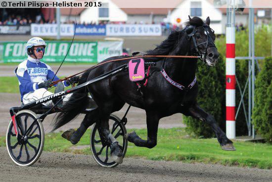 PYÖRYLÄN PARONI - Olli Koivunen 9v ruuna Kasvattaja: Joni Koivula Omistaja: Eeva Johansson & Leo Mönttinen Valmentaja: Leo Mönttinen 2019 22 2018 19 2017 19 2016 15 2015 10 Yht.