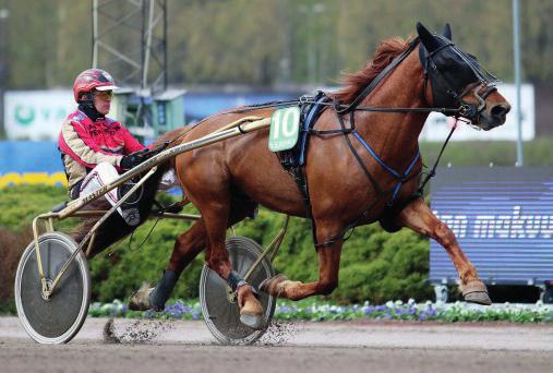 25,0ke 22,1ke TAND KRAFT - Tapio Perttunen 6v ori Kasvattaja: Matts Gottås Omistaja: Christer Lindsröm Valmentaja: Jan-Olov Persson 2019 2018 2017 2016 2015 Yht.