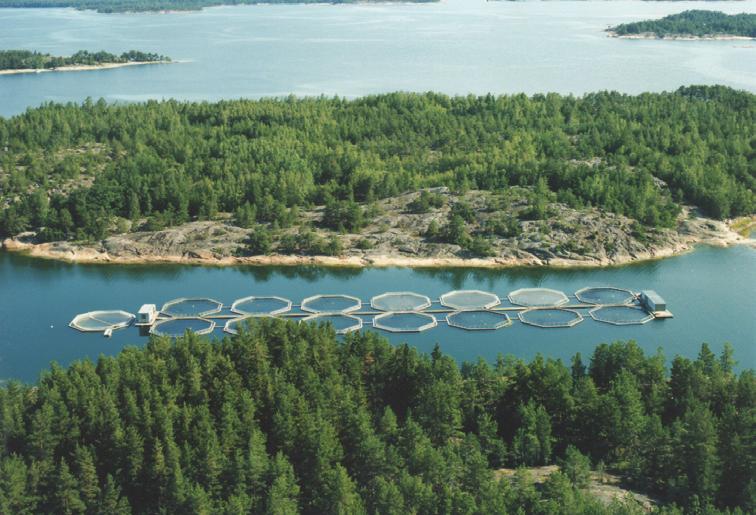 Maa-, metsä- ja kalatalous Jord- och skogsbruk