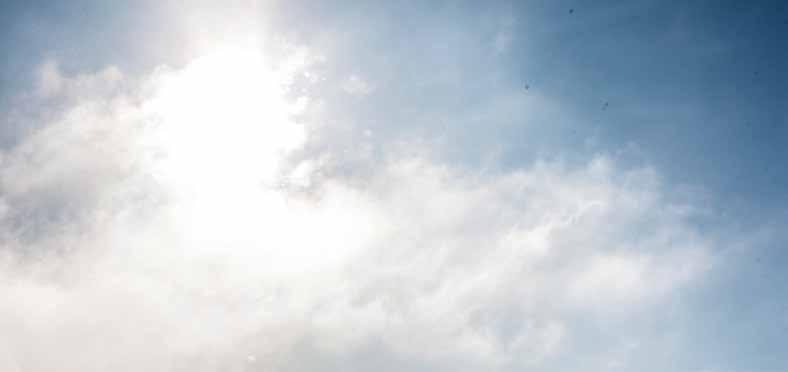 Huoltoextra Vasikkabaarit Tämän päivän vasikat ovat huomisen