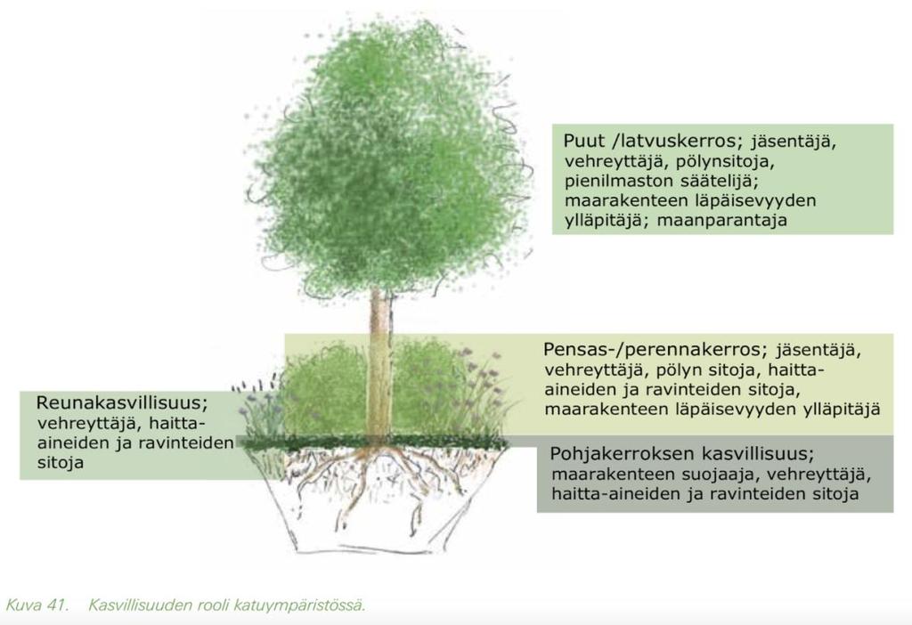 Kuva 7. Kasvillisuudella on viherkadulla monta roolia. (Lähde: Jyväskylän kaupunki, tekijä: Ramboll Finland Oy.