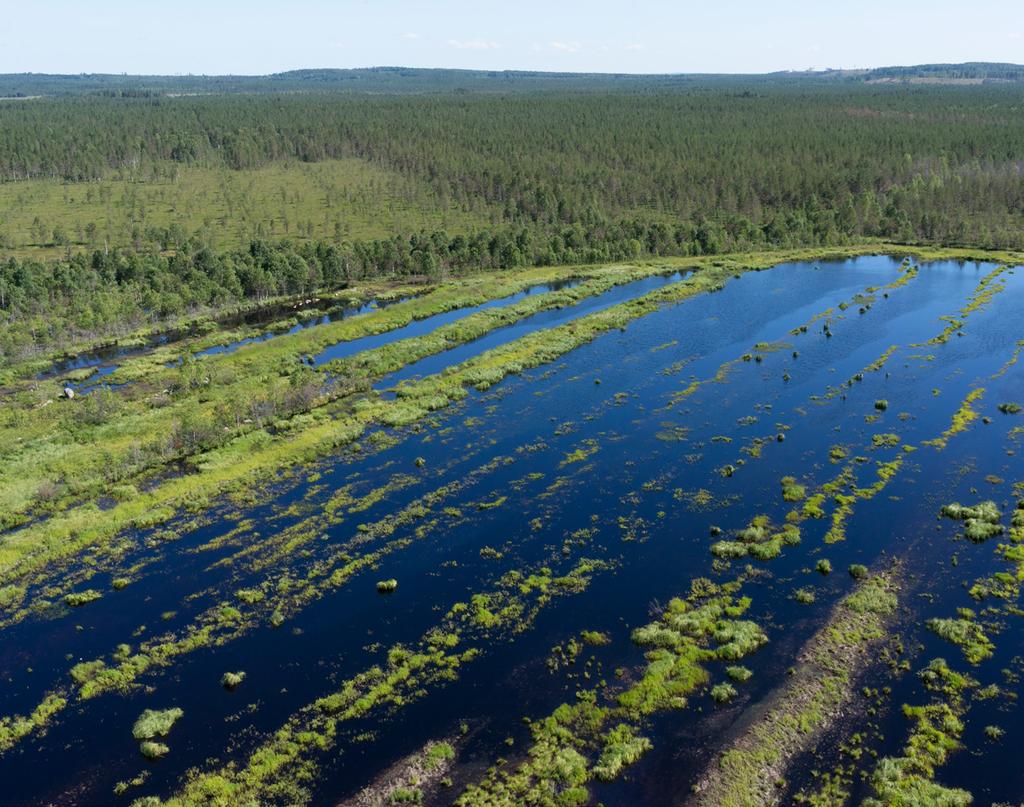 Monimuotoista luontoa turvetuotannon jälkeen Turvaamme luonnon monimuotoisuutta aktiivisella turvetuotannon jälkikäytöllä.