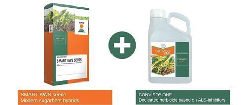 Conviso Smart systeemi KWS jalostanut perinteisellä jalostusmenetelmällä lajikkeen, jolla on Conviso One torjunta-aineen kestävyys Conviso One sisältää kahta ALS-herbisidiä, joilla on erittäin laaja