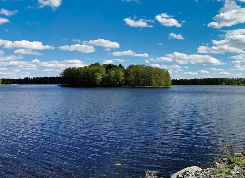 Tontti rakennetaan onipuolisesti