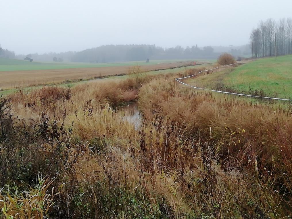 %, metsäalueita 53 % Natura 2000: Lepinjärvi 11.4.