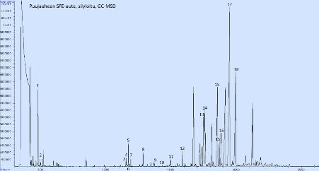 Biomassojen prosessointiin ja analytiikkaan liittyvän osaamisen lisääminen (Kajaani LabTP 1.1 ja TP 1.