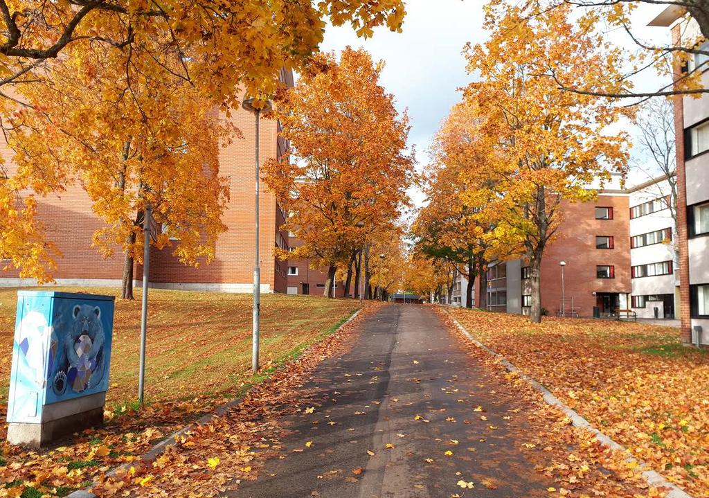 Kuva 20. Maunulanpolku on jalankulun ja pyöräilyn reitti. etteivät leveät, rakennetut käytävät riitä täyttämään kaupunkilaisten tarvetta olla läheisessä kosketuksissa luontoon.