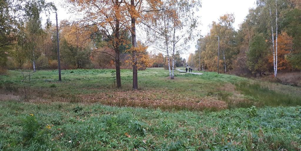 Niittyverkoston tavoitteet Niittylajistossa on suuria eroja sen suhteen, kuinka lähellä niiden elinympäristöjen tulee olla toisiaan, jot ta elinympäristöistä muodostuisi yhtenäisen verkosto.