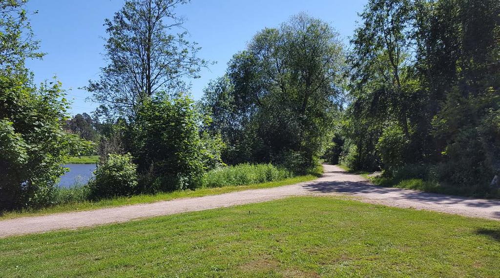 Kuva 35. Pikkukosken rannan reitillä umpeen kasvanutta näkymää avataan joelle. 6.